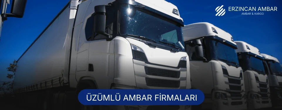 Üzümlü Ambar Taşımacılık