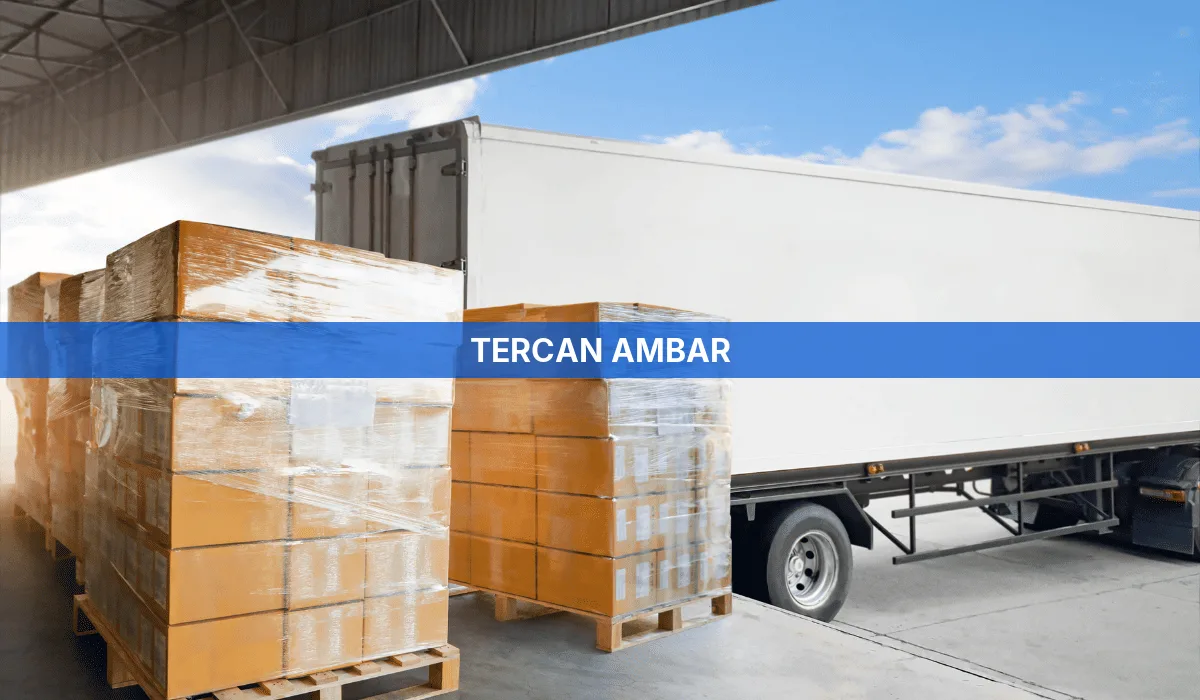 Tercan Ambar